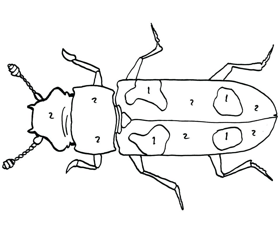 Oggy Cockroaches Coloring Pages Perfect Bug Weevil Impressive 960x800 Oggy Cockroaches Coloring Pages Perfect Bug Weevil Impressive