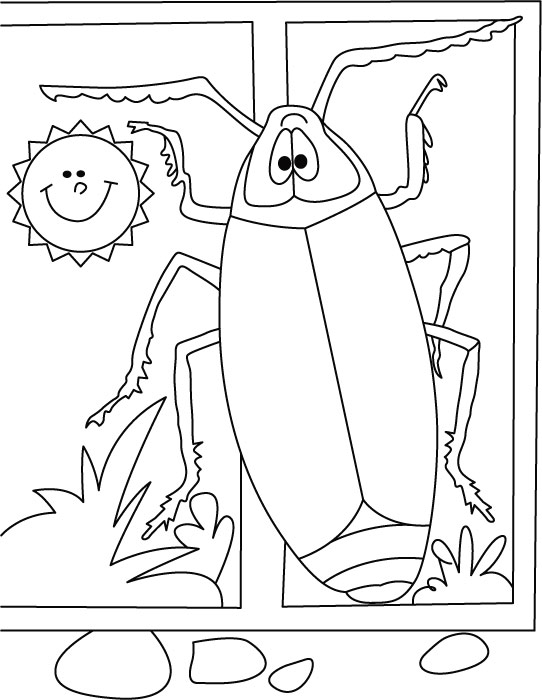 Free Printable Cockroach Coloring Pages For Kids 542x700 Free Printable Cockroach Coloring Pages For Kids