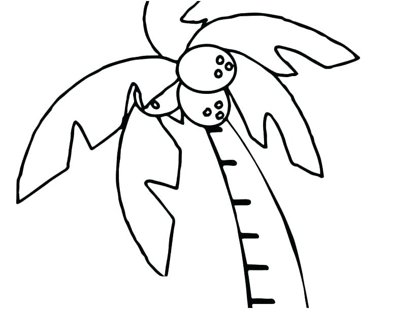 827x609 Coconut Tree Coloring Page Shippa.co