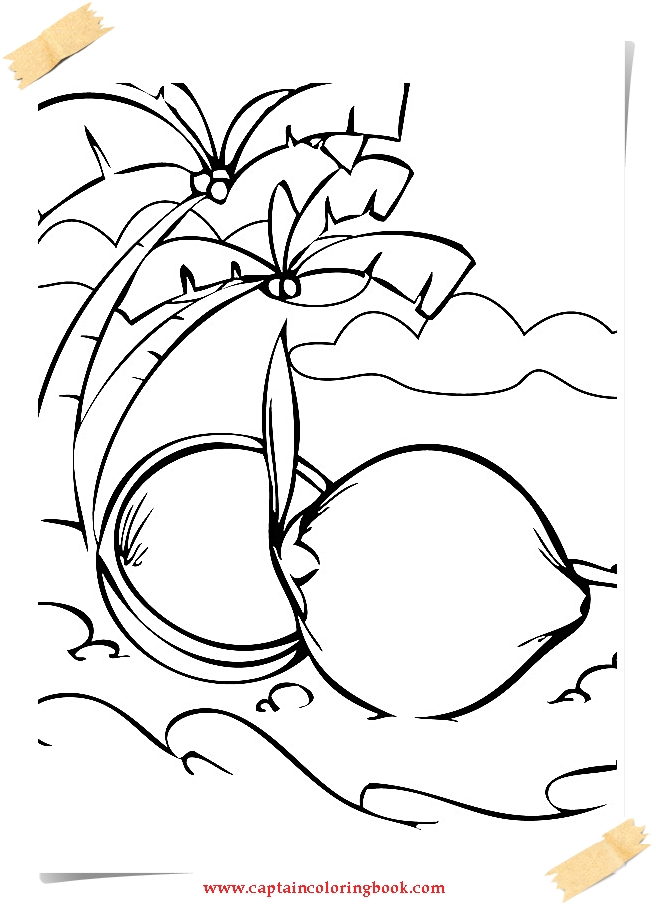 656x904 Coconut Coloring Pages