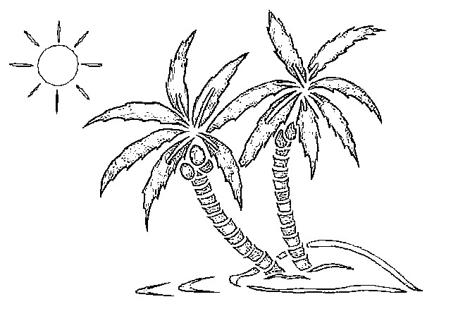 Coconut Tree 650x448 Coconut Tree