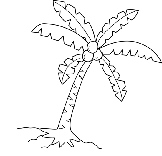 Coconut Tree Coloring Page 550x530 Coconut Tree Coloring Page