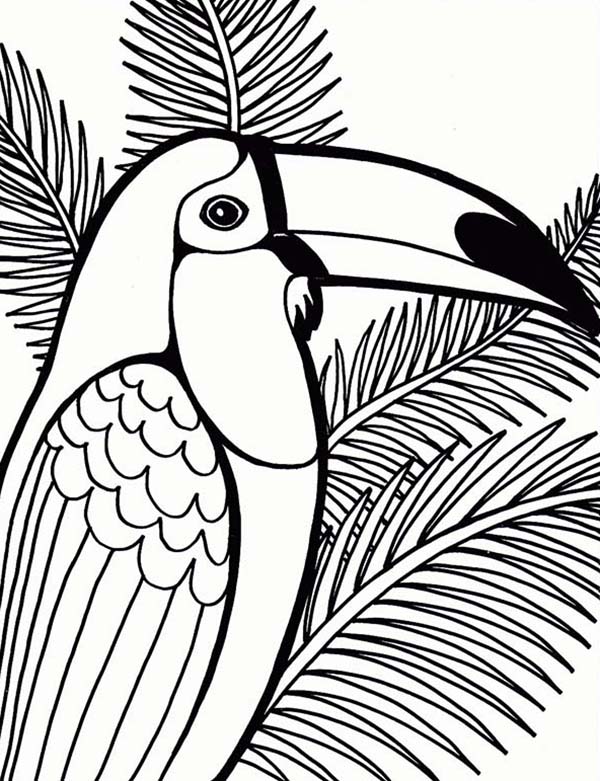Parrot On Coconut Tree Coloring Page 600x781 Parrot On Coconut Tree Coloring Page
