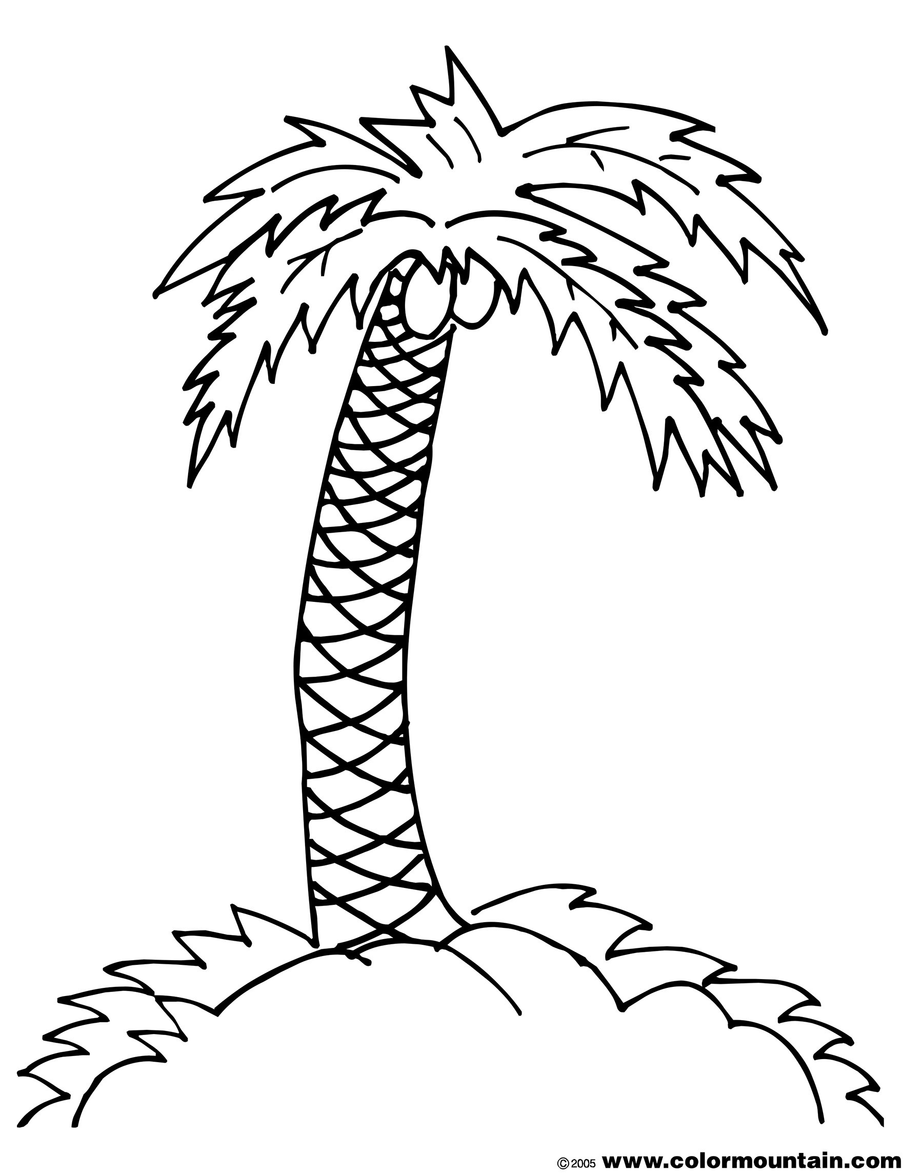 Unique Palm Tree Coloring Page Pages To Download And Print 1800x2294 Unique Palm Tree Coloring Page Pages To Download And Print
