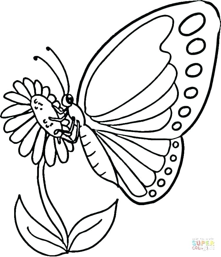 750x872 Life Cycle Of A Butterfly Coloring Page Butterfly Coloring Pages