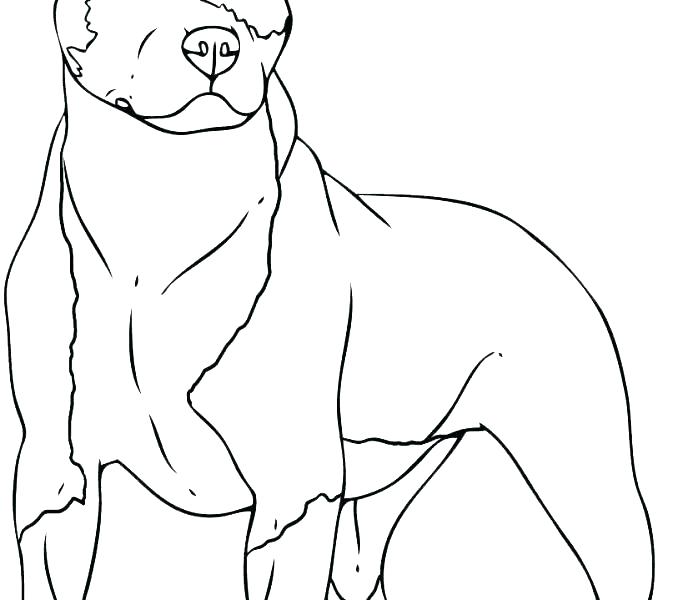 Dog With A Blog Coloring Pages Border Collie Coloring Pages Border 678x600 Dog With A Blog Coloring Pages Border Collie Coloring Pages Border