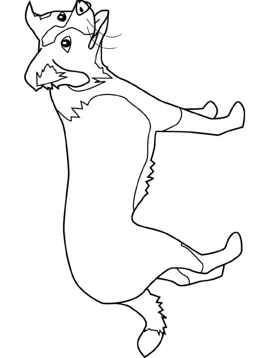 Dogs Coloring Pages Border Collie Animals Sheep 540x720 Dogs Coloring Pages Border Collie Animals Sheep