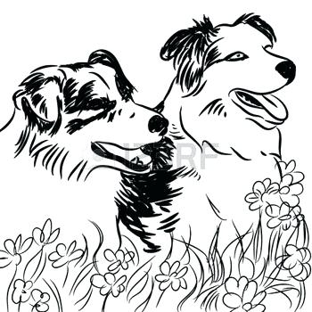 Free Border Collie Coloring Pages Kids Coloring Outline Drawing 350x350 Free Border Collie Coloring Pages Kids Coloring Outline Drawing
