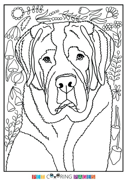 Border Collie Coloring Pages Border Collie Coloring Page Free 500x711 Border Collie Coloring Pages Border Collie Coloring Page Free