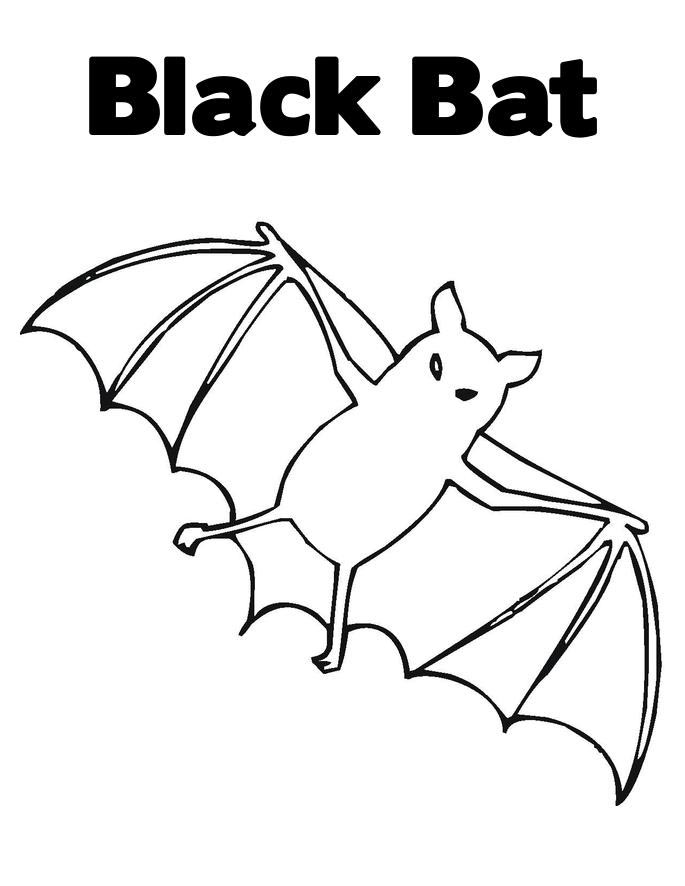 685x886 Bat Coloring Pages