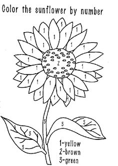 Kansas Sunflower Kansas, Sunflowers And Menu 236x331 Kansas Sunflower Kansas, Sunflowers And Menu