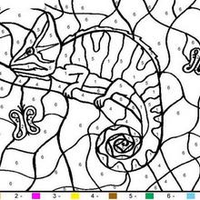 Animals Color By Number Coloring Pages 220x220 Animals Color By Number Coloring Pages