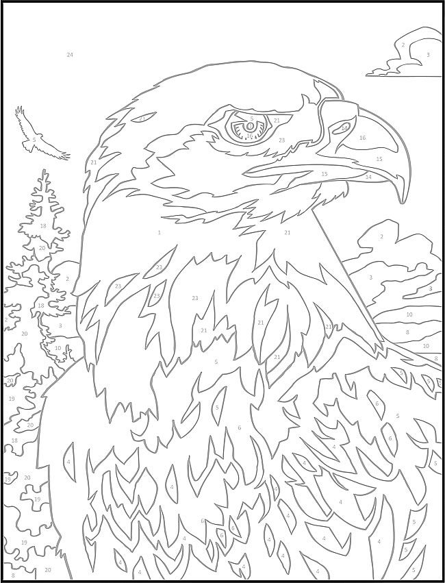 Coloring Pages. Color By Number Coloring Book 650x851 Coloring Pages. Color By Number Coloring Book