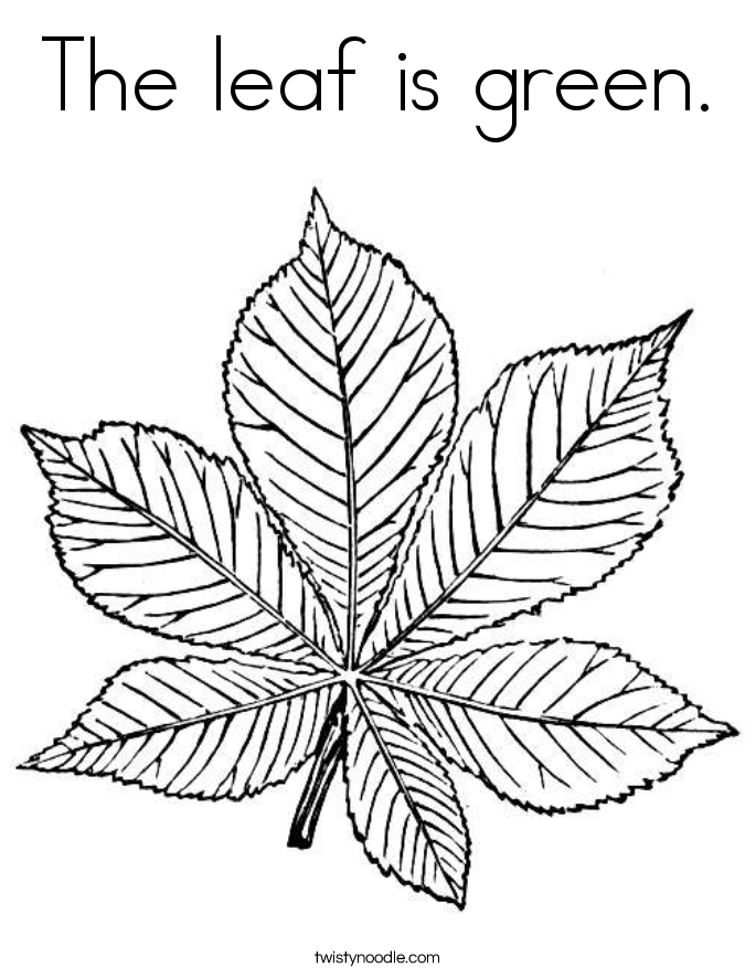 685x886 Green Coloring Pages