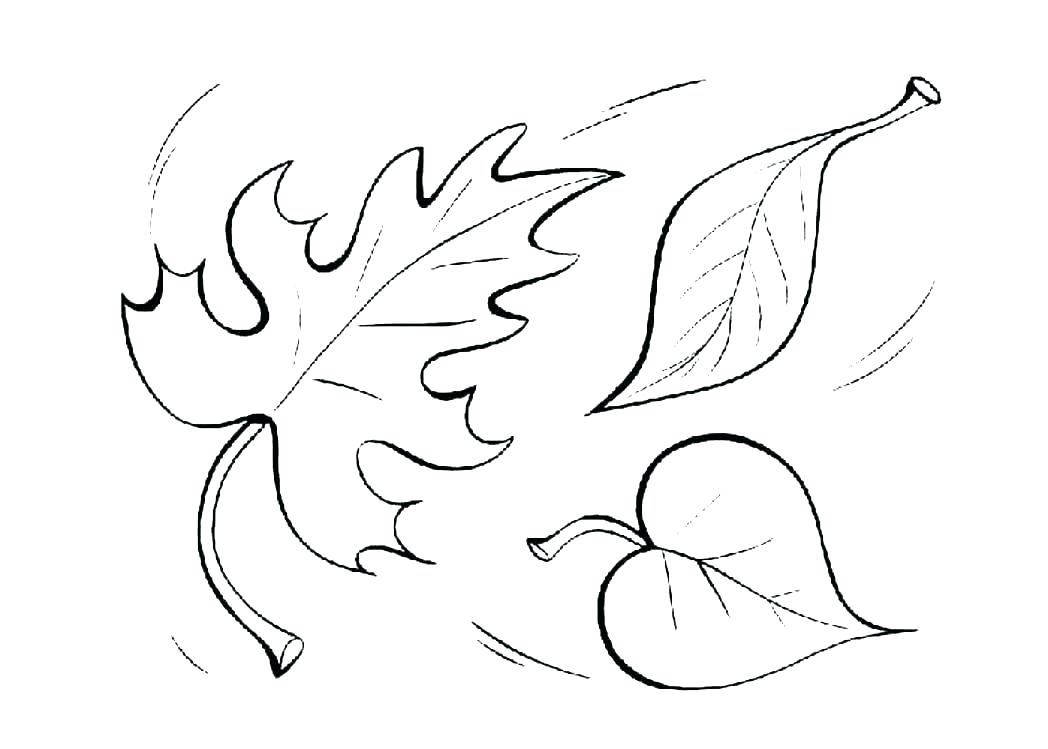 1048x749 Leaves Green Leaves Sheet Music Fall Coloring Pages Free Printable