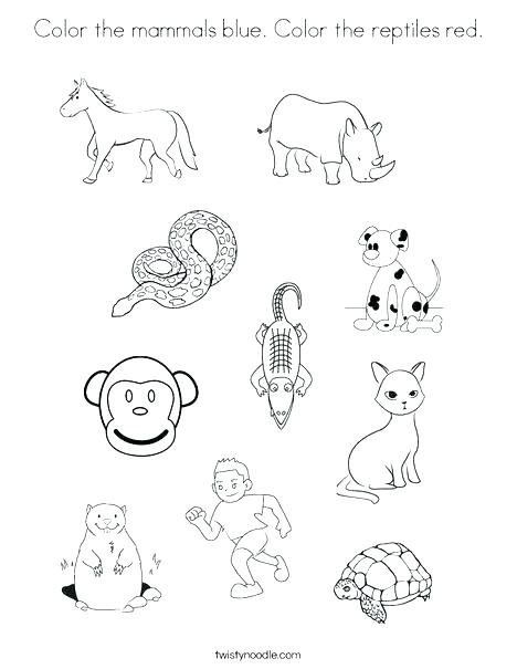 468x605 Red Coloring Pages Preschoolers Kids Coloring Reptiles Coloring