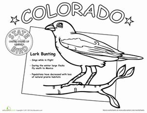301x232 33 Best Kid Friendly Colorado History Activities Images