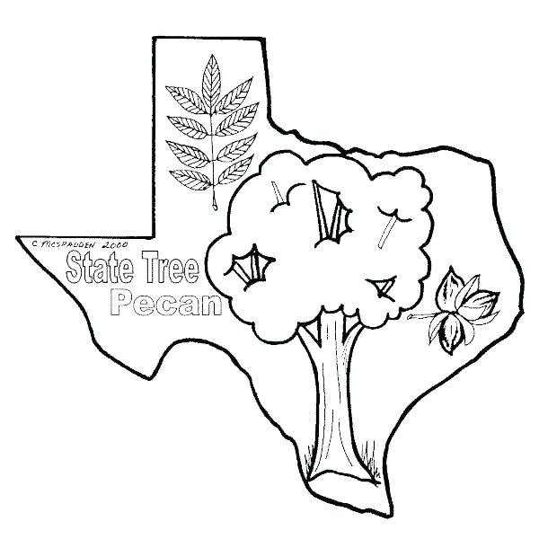 600x600 Colorado State Flag Coloring Page