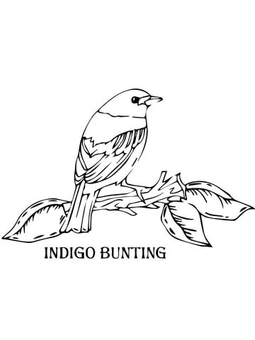 Lark Bunting With Columbine Colorado State Bird Also Flower 360x480 Lark Bunting With Columbine Colorado State Bird Also Flower