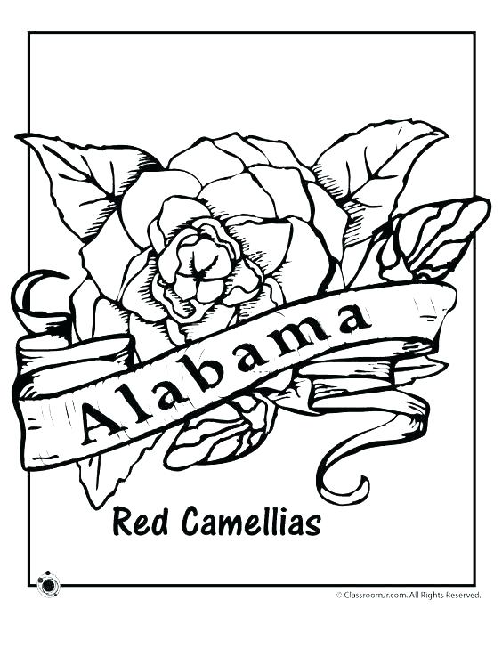 State Coloring Pages Coloring Pages Map Of United States Coloring 564x729 State Coloring Pages Coloring Pages Map Of United States Coloring