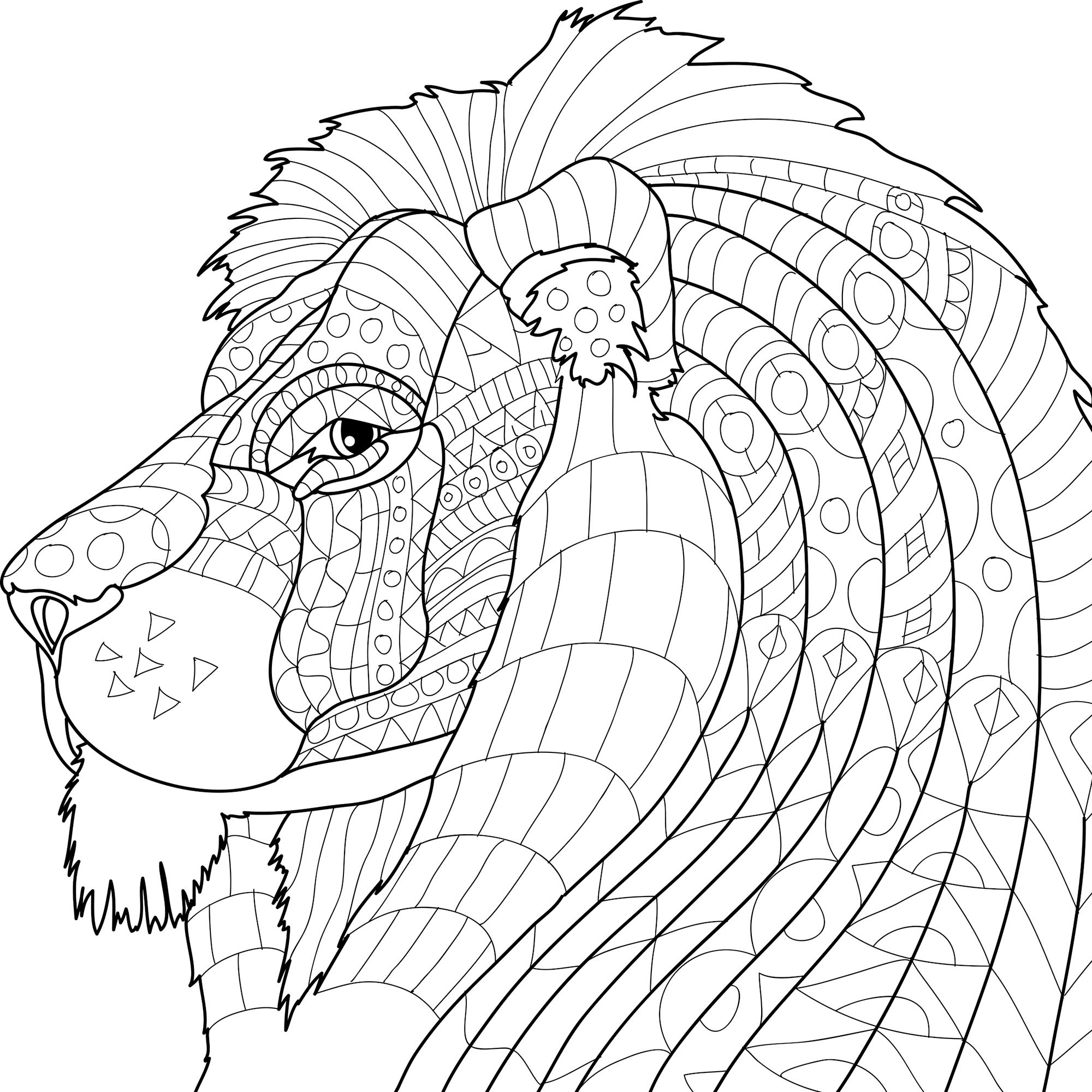 Animal Kingdom Adult Coloring Book Set With 24 Colored 2000x2000 Animal Kingdom Adult Coloring Book Set With 24 Colored
