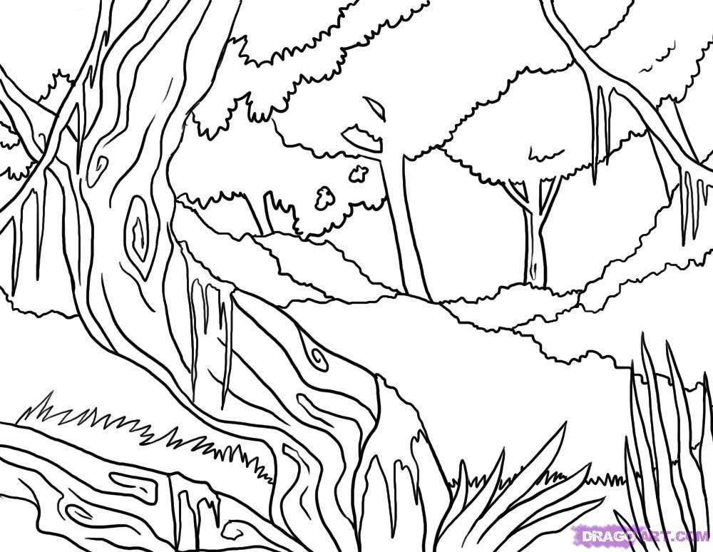 Jungle Coloring Pages Background Coloring Pages Download 1000x774 Jungle Coloring Pages Background Coloring Pages Download