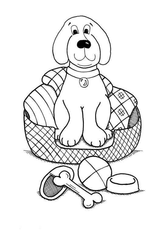 543x768 Dog In A Basket With Blanket Coloring Page Animal Pages