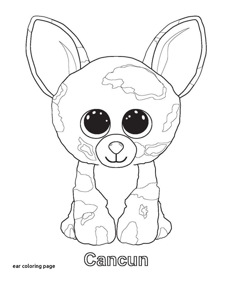 736x900 7 Best Tegning Images On For Ear Coloring Page