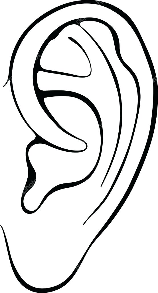 554x1024 New Ear Coloring Page For Ear Coloring Pages 35 Bunny Ear Coloring