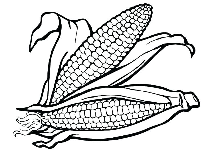 750x531 Corn Cob Coloring Page Ear Of Corn Coloring Page Coloring Pages