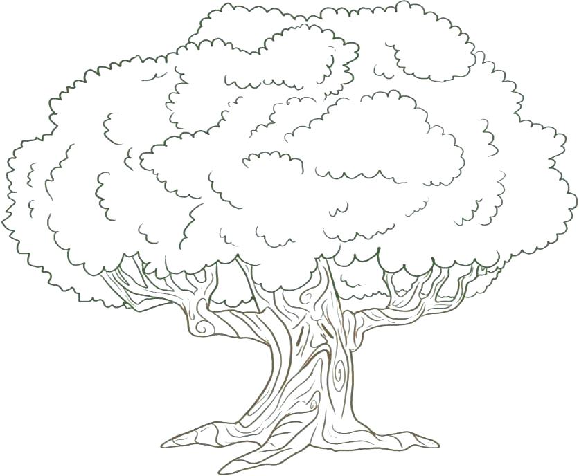 836x688 Apple Tree Coloring Page Printable Tree Coloring Page Free