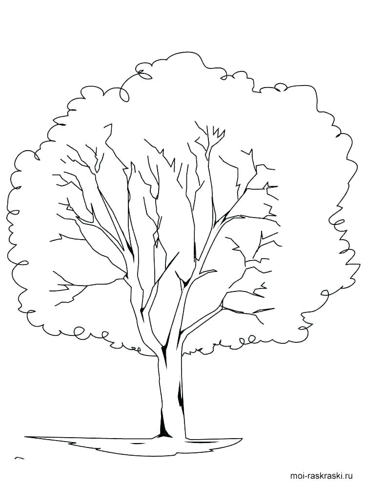 Coloring Page Oak Tree at GetColorings.com | Free printable colorings ...