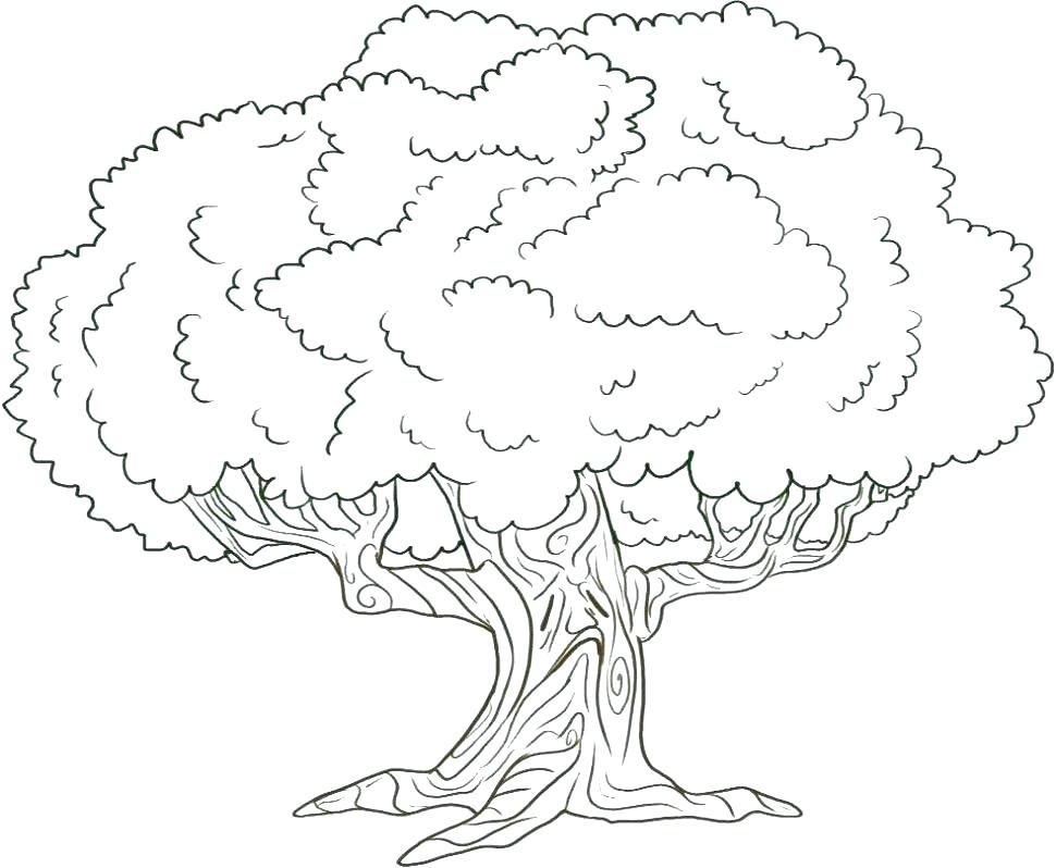 Coloring Page Oak Tree at GetColorings.com | Free printable colorings ...