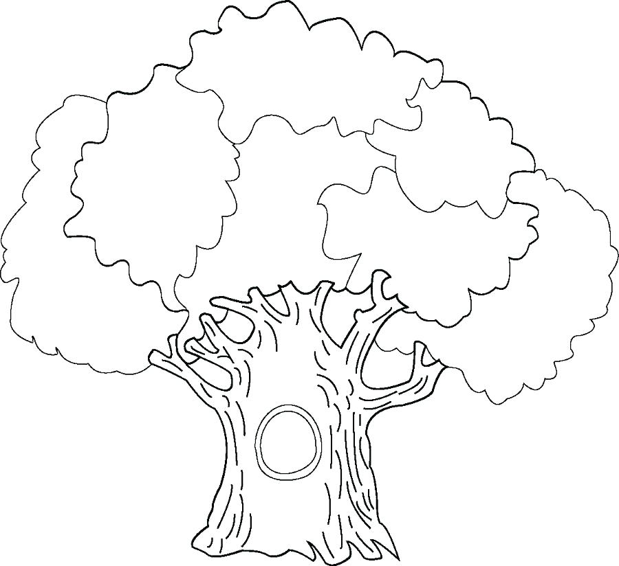 Coloring Page Oak Tree at GetColorings.com | Free printable colorings ...