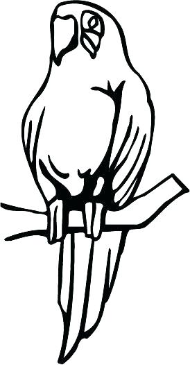 274x526 Coloring Pages Question Mark Question Mark Coloring Page Creative