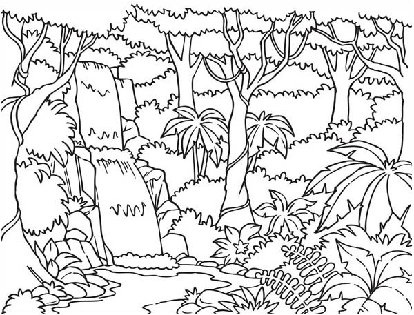 Forest And Waterfalls Coloring Page.jpg Coloring Pages 600x457 Forest And Waterfalls Coloring Page.jpg Coloring Pages