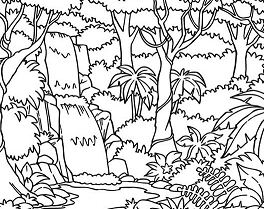 Waterfall In The Forest Coloring Page 264x209 Waterfall In The Forest Coloring Page