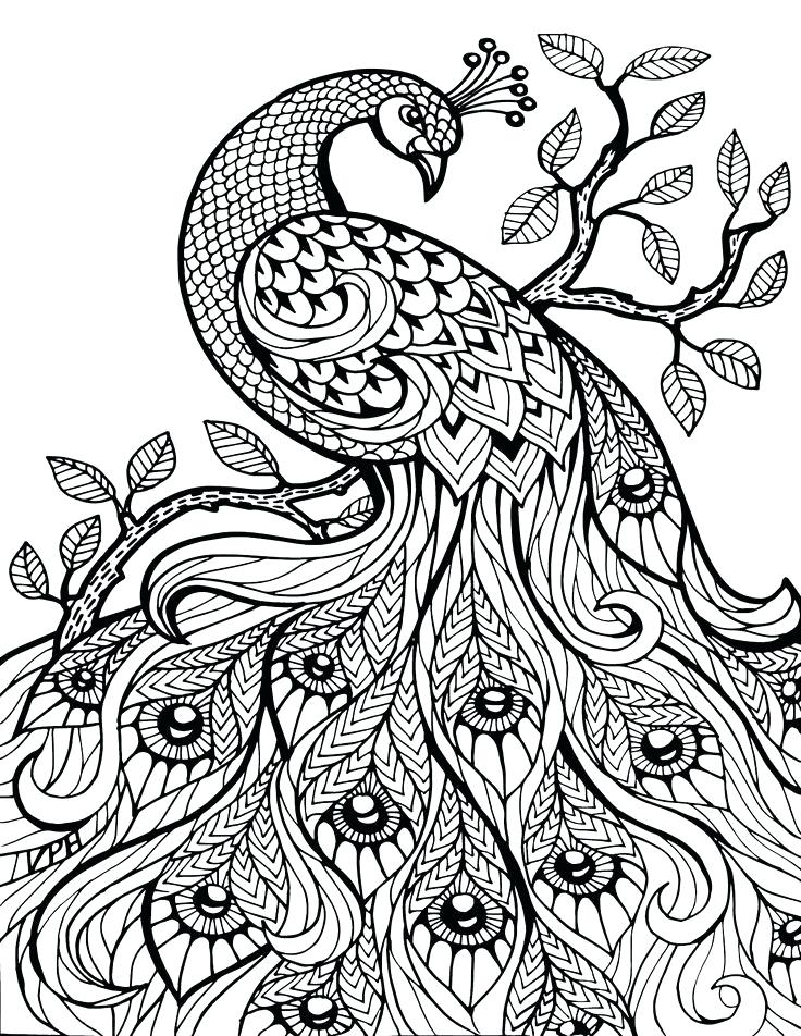 736x952 Animal Mandala Coloring Pages Best Adult Coloring Pages Ideas