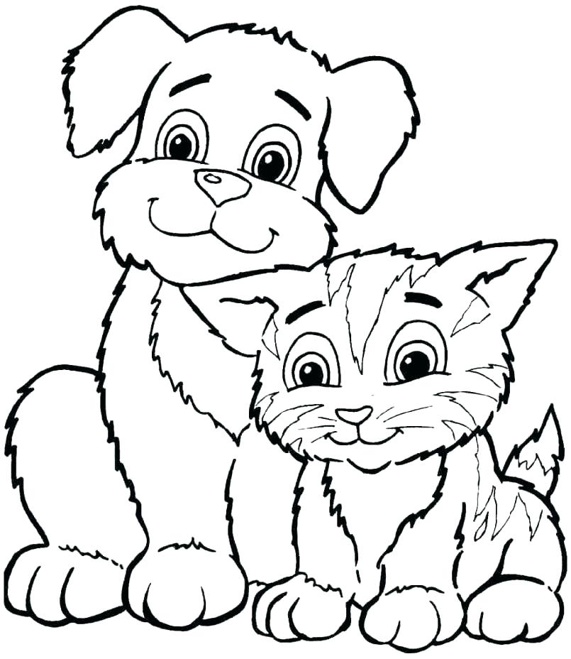 Coloring Pages Cute Animals Coloring Pages Of Animals And Their 805x928 Coloring Pages Cute Animals Coloring Pages Of Animals And Their