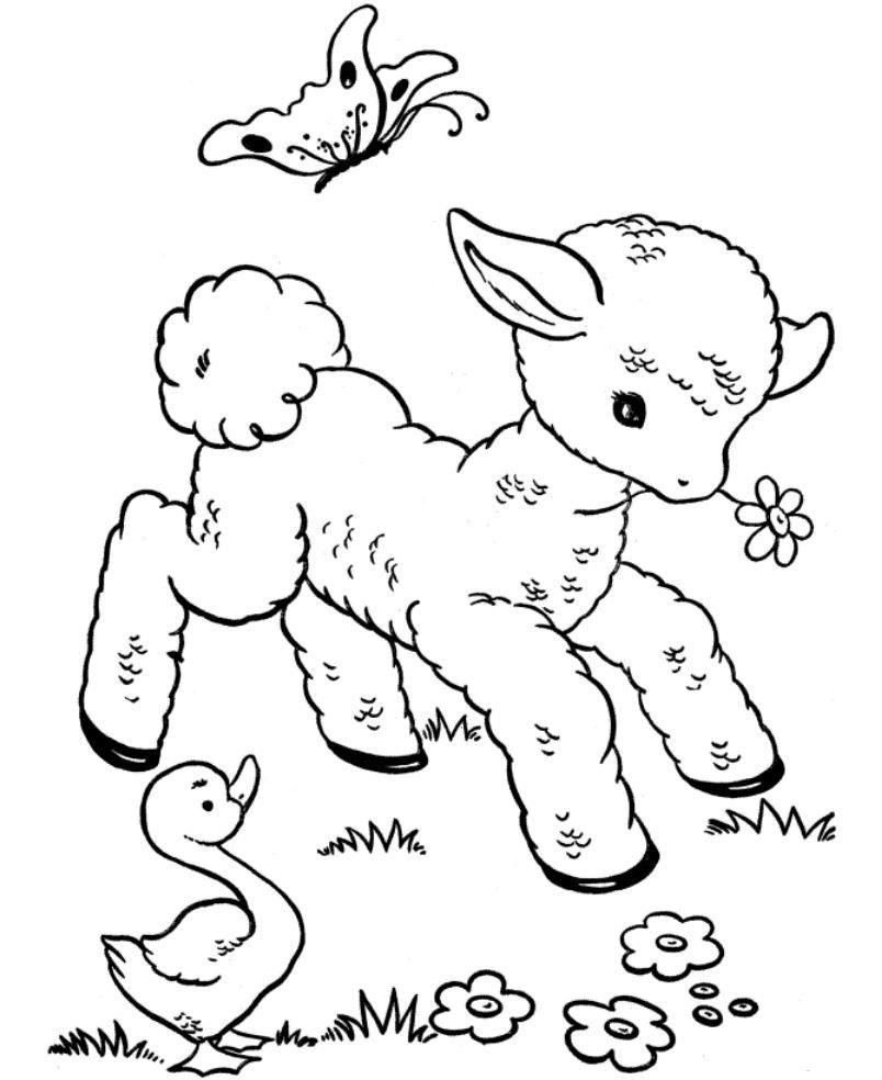 Printable Coloring Leap Frog Coloring Pages Leapfrog Baby Animal 804x984 Printable Coloring Leap Frog Coloring Pages Leapfrog Baby Animal