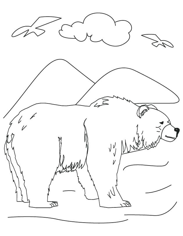 630x810 Black Bear Coloring Page State Mammal Black Bear Page Black Bear