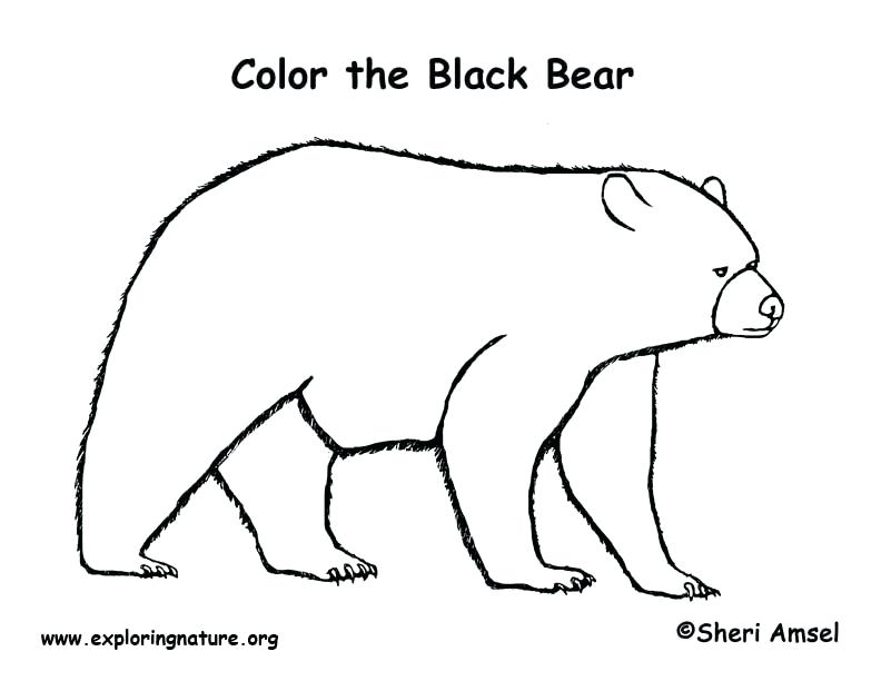792x612 Black Bear Coloring Pages