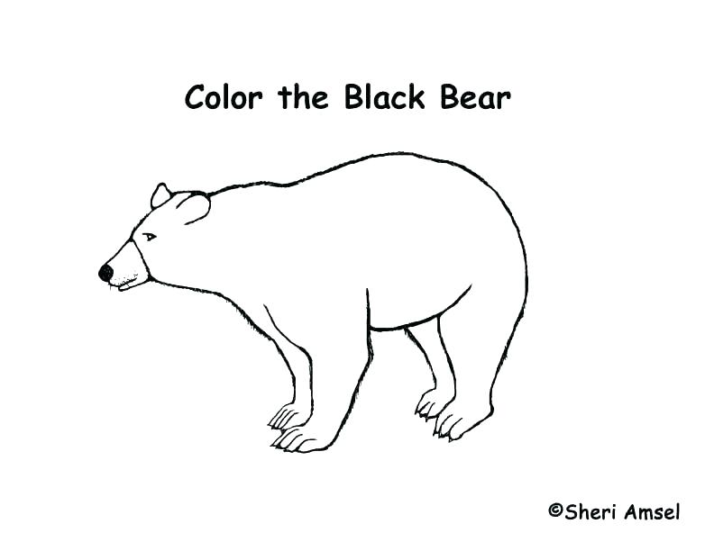 792x612 Black Bear Coloring Pages Black Bear Coloring Page Black Bear