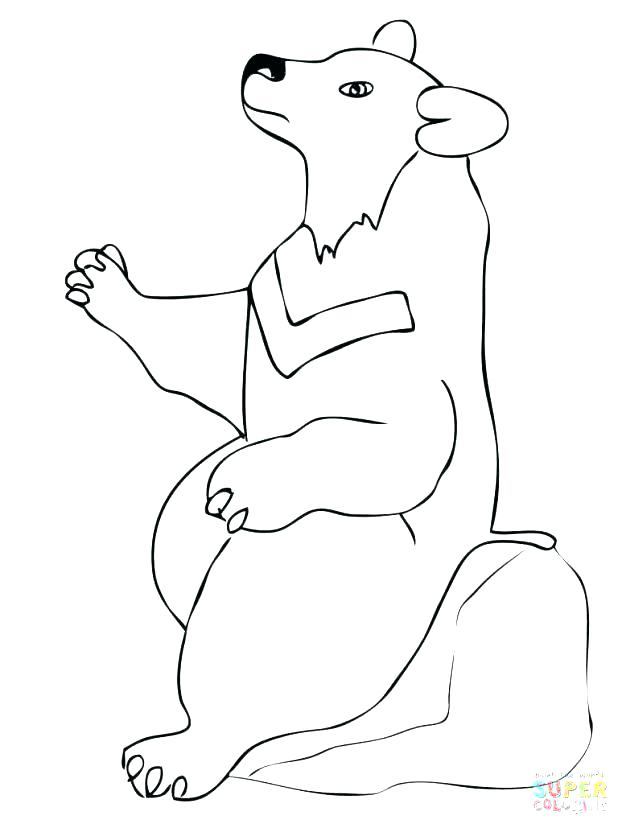 618x824 Black Bear Coloring Pages Coloring Pages Bears Coloring Pages