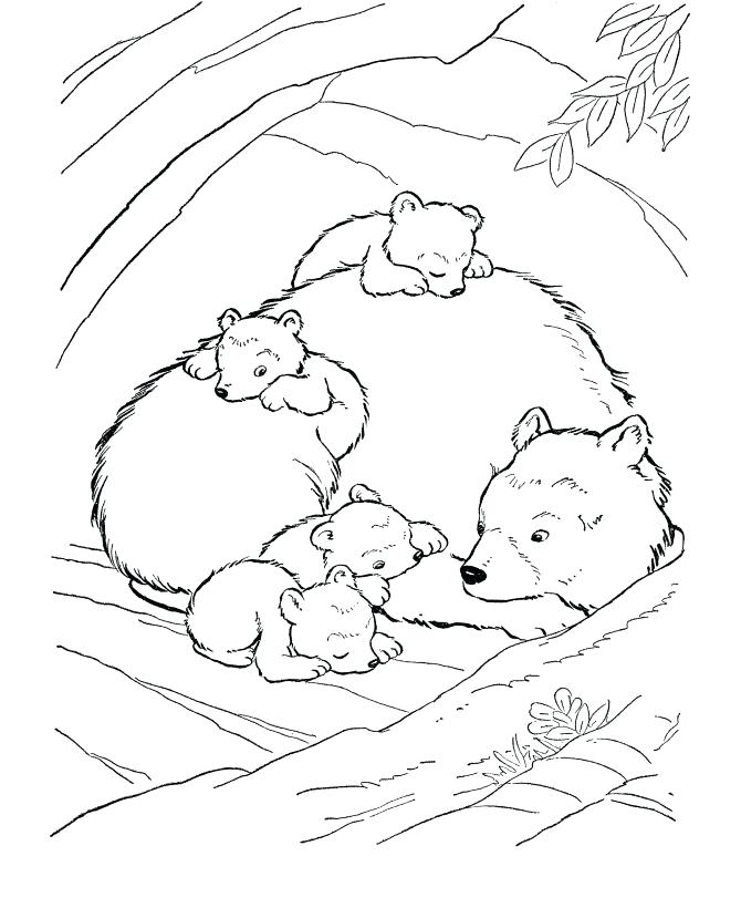 670x820 Coloring Pages Black Bears Cave Pencil And In Color