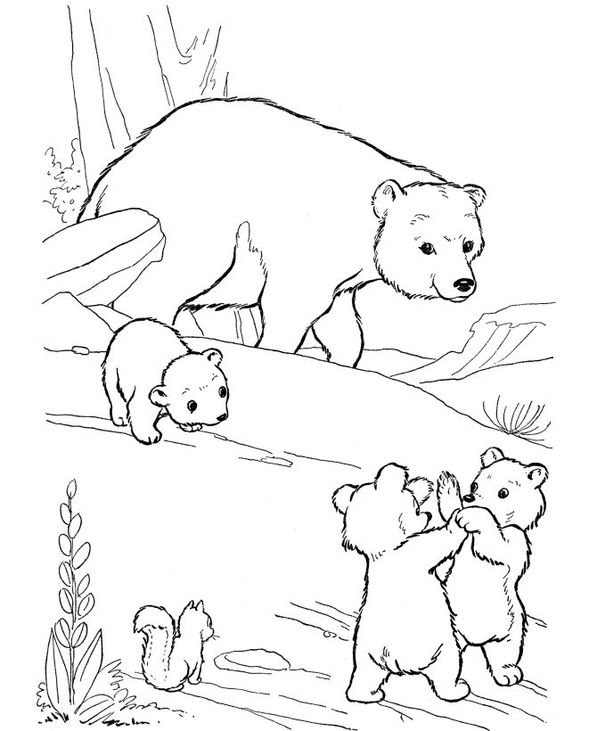 670x820 Bear Cub Clipart Colouring Page