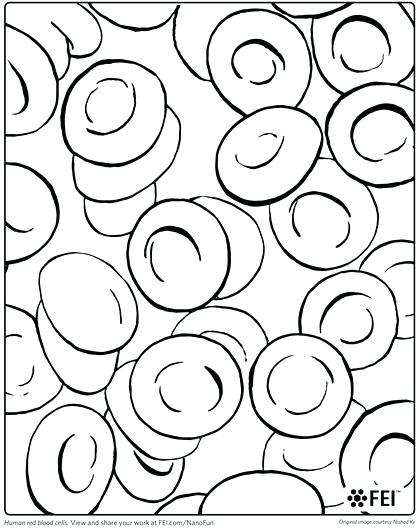 420x530 New Coloring Pages Blood Answers For Red Blood Cell Coloring Page