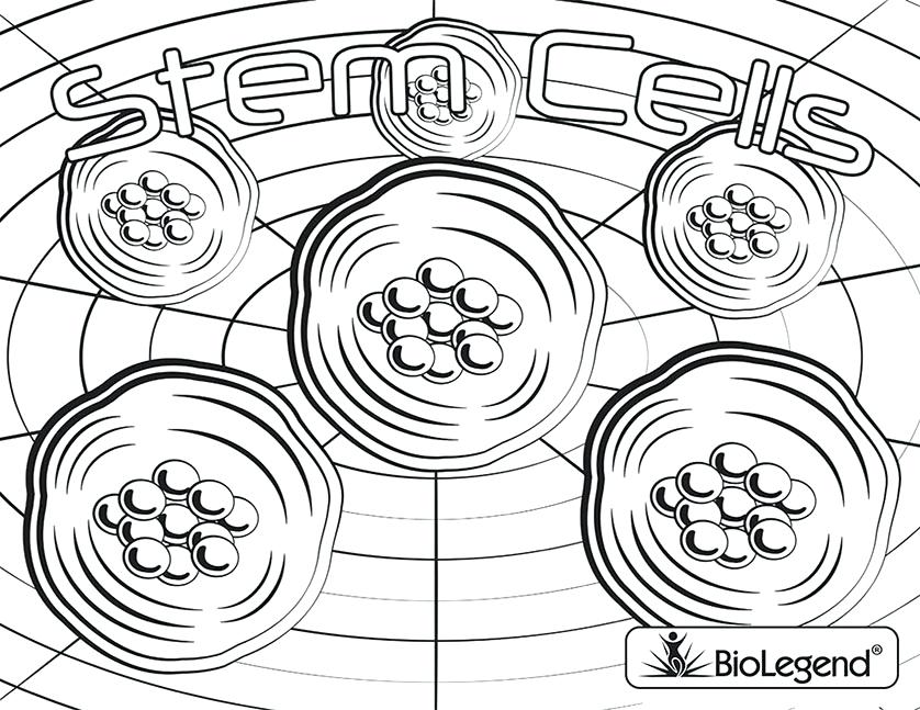 838x647 Coloring Pages Blood Answers