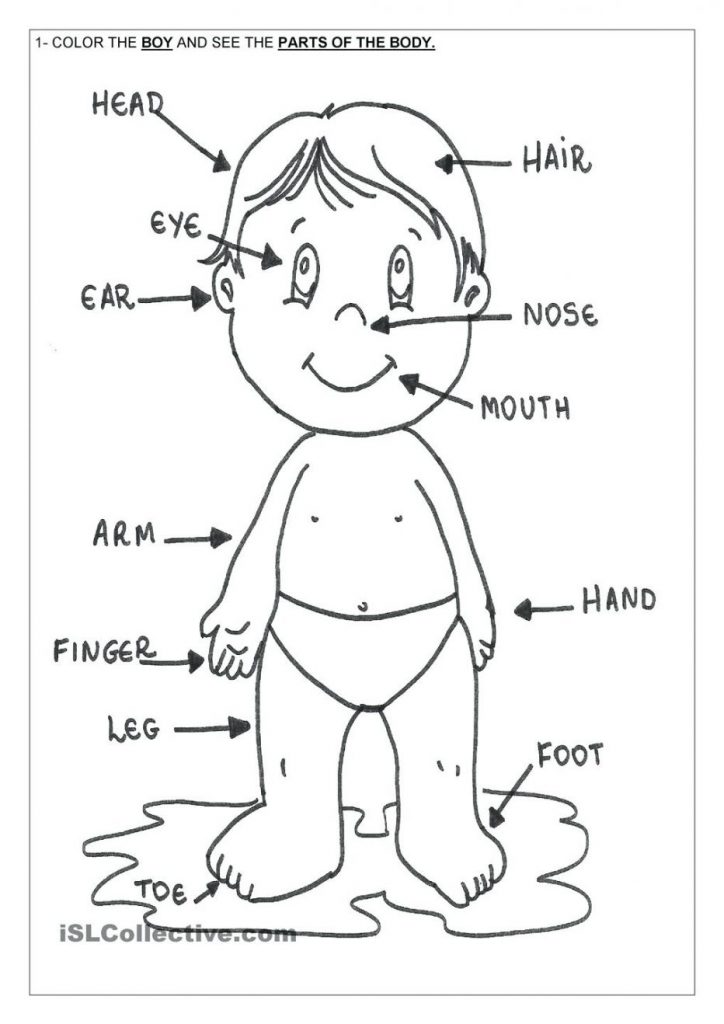 724x1024 Body Parts Coloring Pages