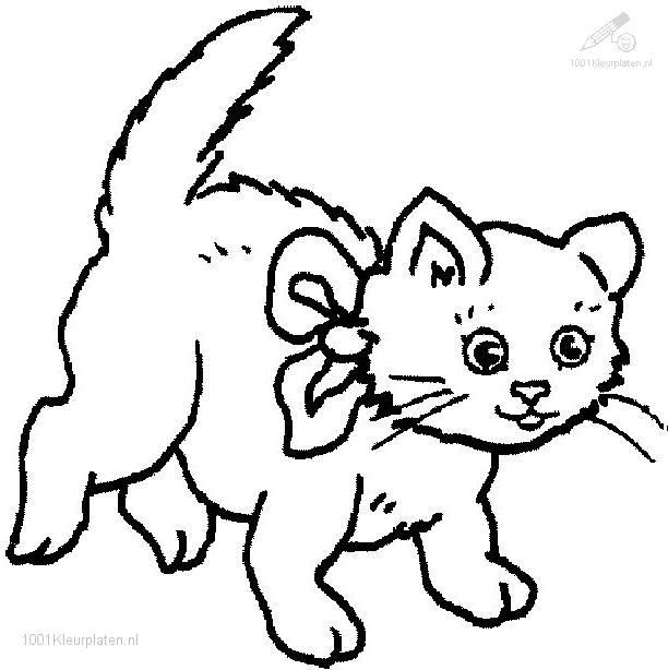 612x614 Cat Color Pages Printable 1001 Coloringpages Animals Gtgt Cats